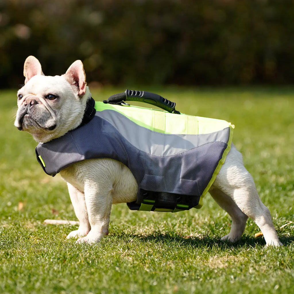 Reflective Life Jacket for Dogs - New Swimsuit Style