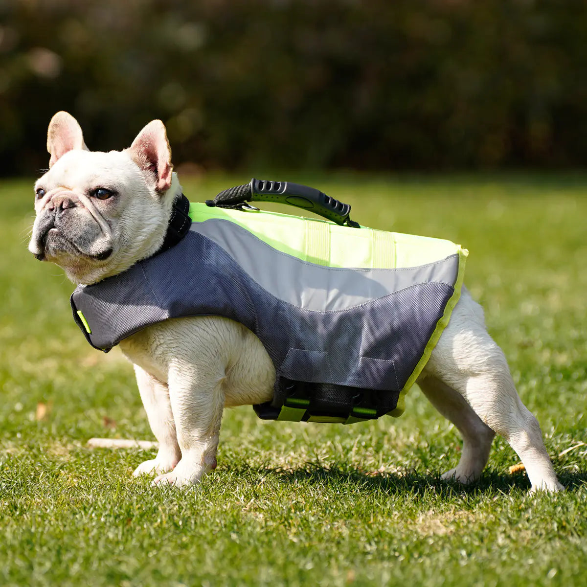 Reflective Life Jacket for Dogs - New Swimsuit Style