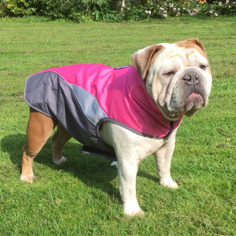 Waterproof Outdoor Pet Raincoat and Insulated Jacket